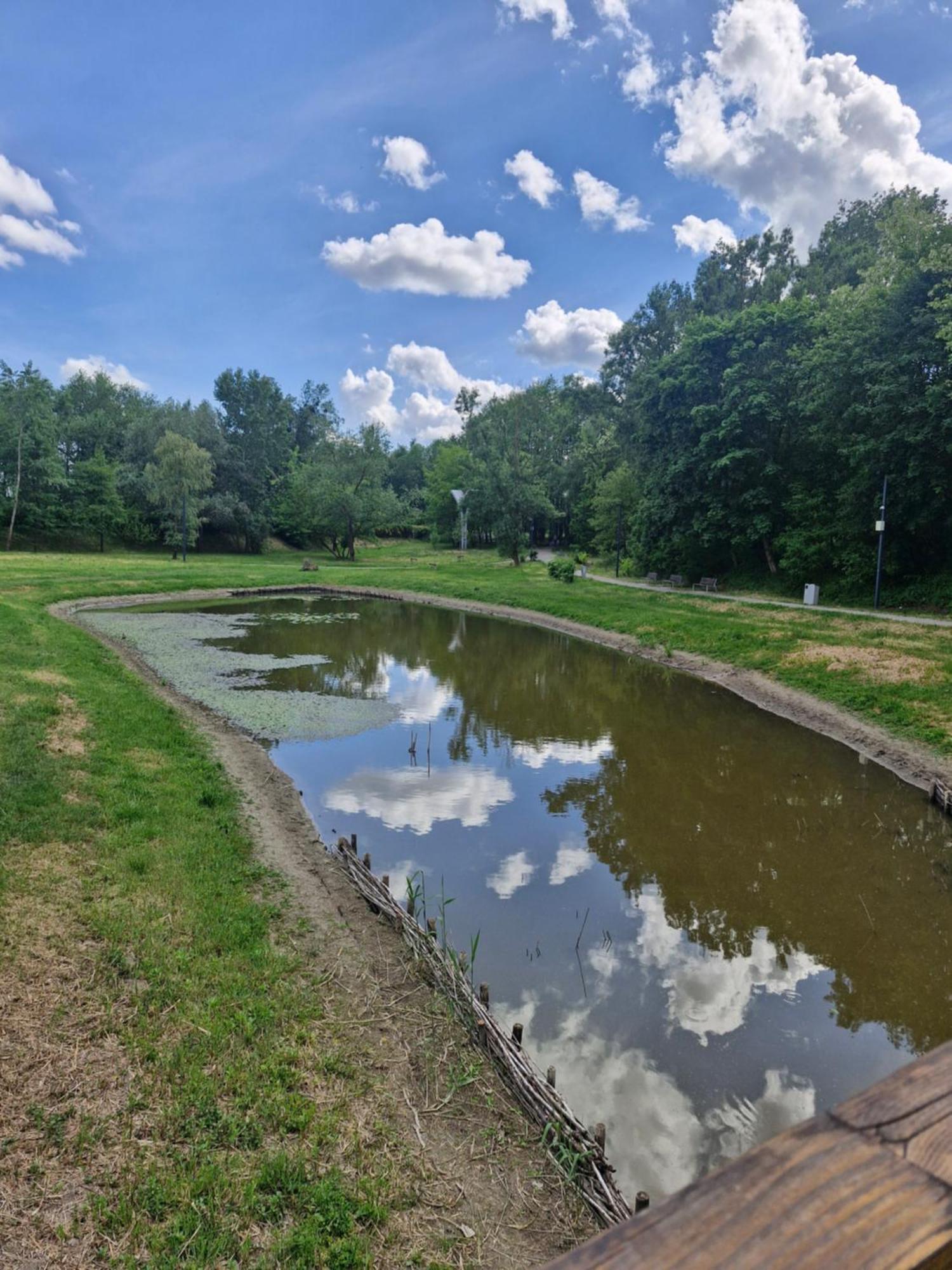 Apartament Cichy I Wygodny Stalowa Wola Exterior foto